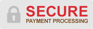 Secure Payment Processing